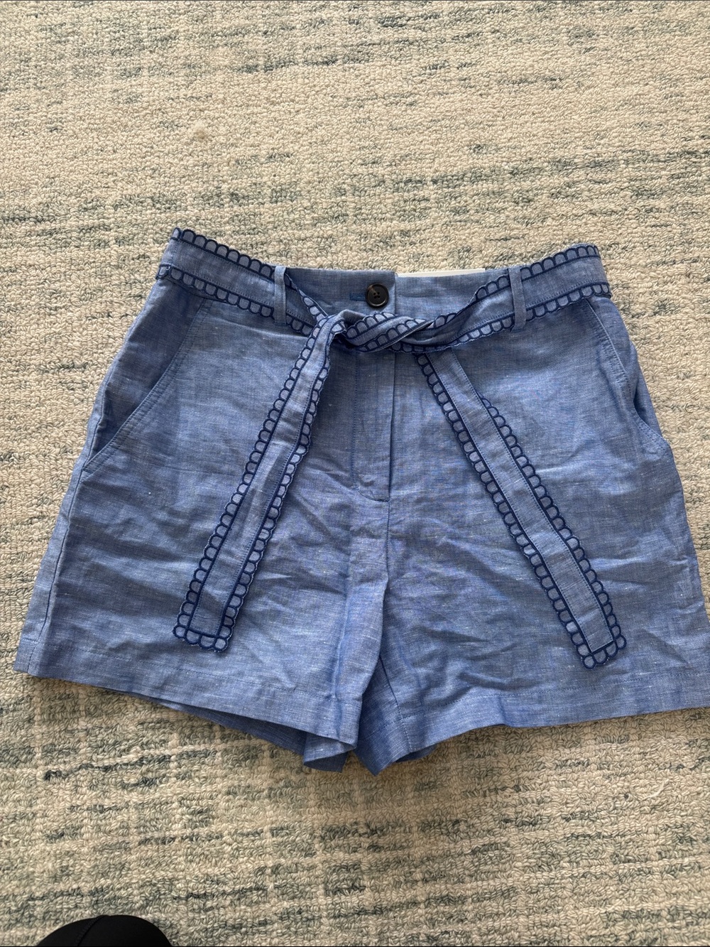 Ann Taylor Light Blue Embroidered Tie-Waist Shorts